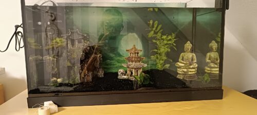 Aquarium-/Terrariumrückwand mit Ihrem Motiv (selbstklebend)