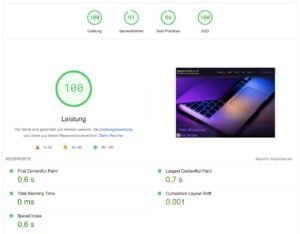 Ein Website-Check-Bericht zeigt perfekte Ergebnisse: 100 für Leistung, 91 für Barrierefreiheit, 96 für Best Practices und 100 für SEO. Zu den Metriken gehören schnelle Ladezeiten, keine Sperrzeiten, minimale Layout-Verschiebung und ein Website-Vorschaubild.